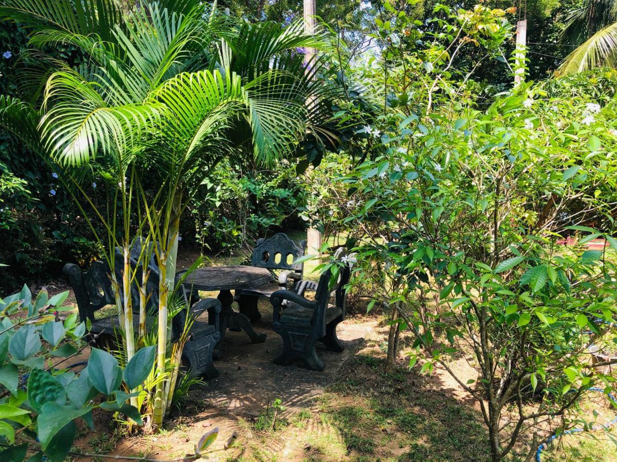 Sigiriya Nature Villa Lodge エクステリア 写真