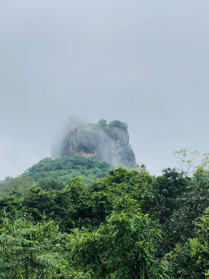 Sigiriya Nature Villa Lodge エクステリア 写真