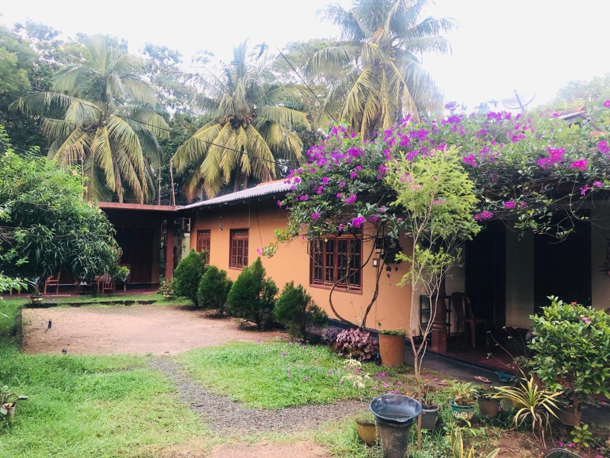 Sigiriya Nature Villa Lodge エクステリア 写真