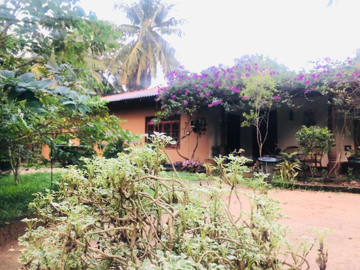 Sigiriya Nature Villa Lodge エクステリア 写真