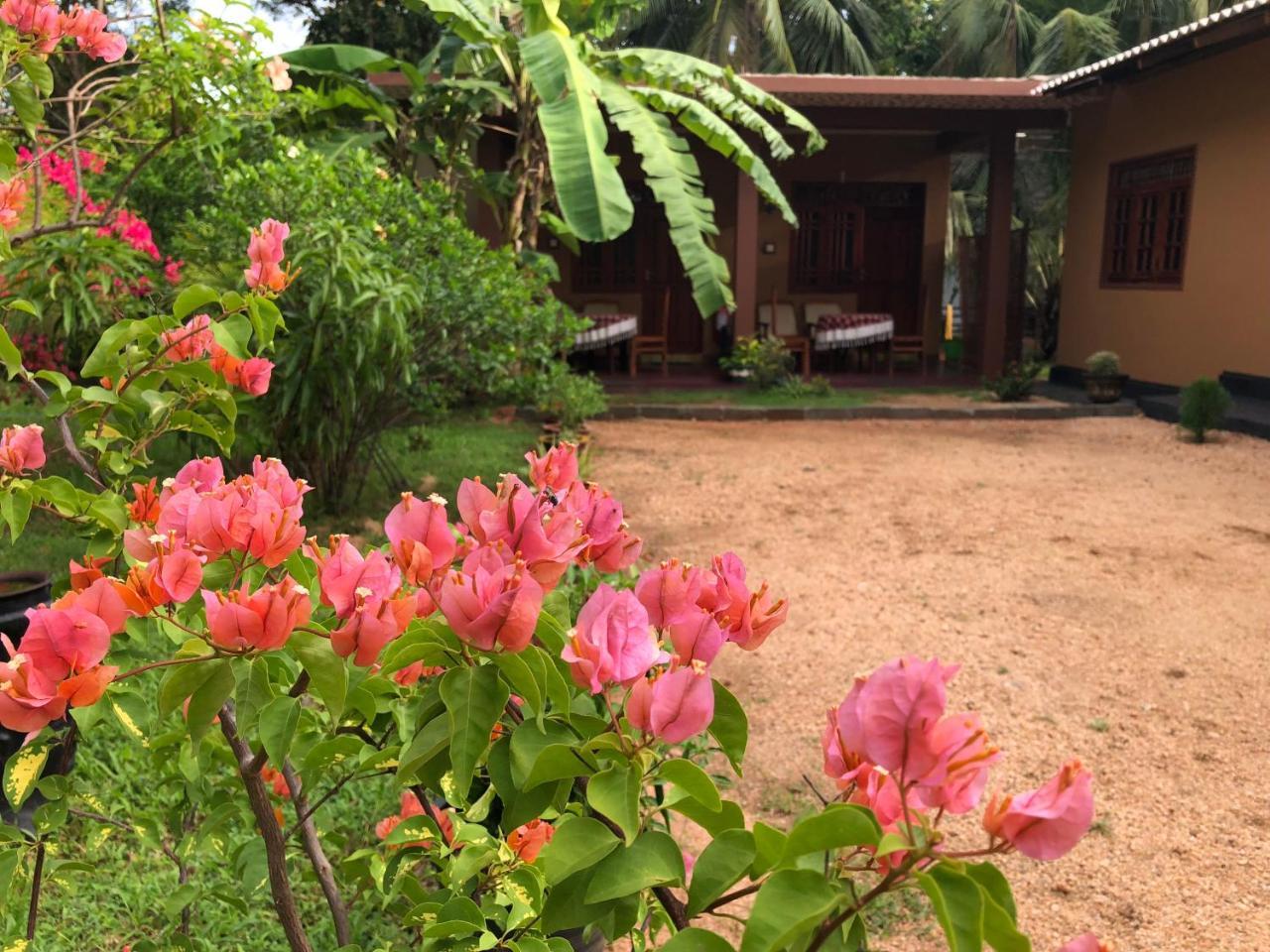 Sigiriya Nature Villa Lodge エクステリア 写真
