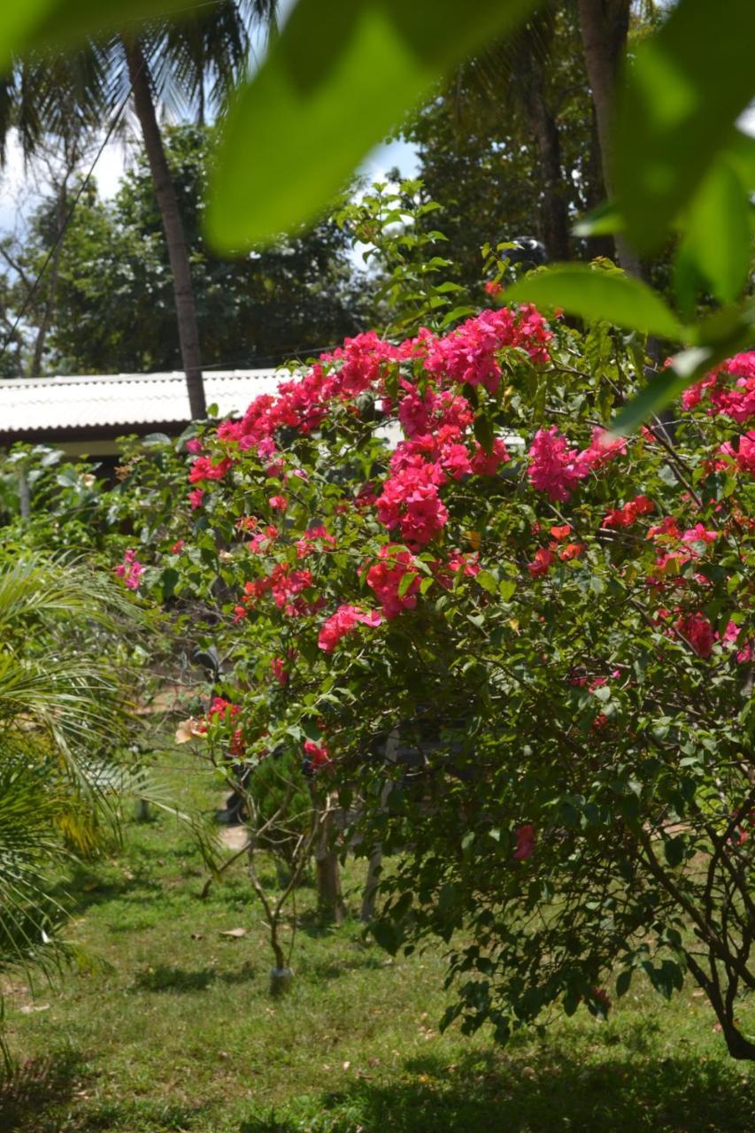 Sigiriya Nature Villa Lodge エクステリア 写真